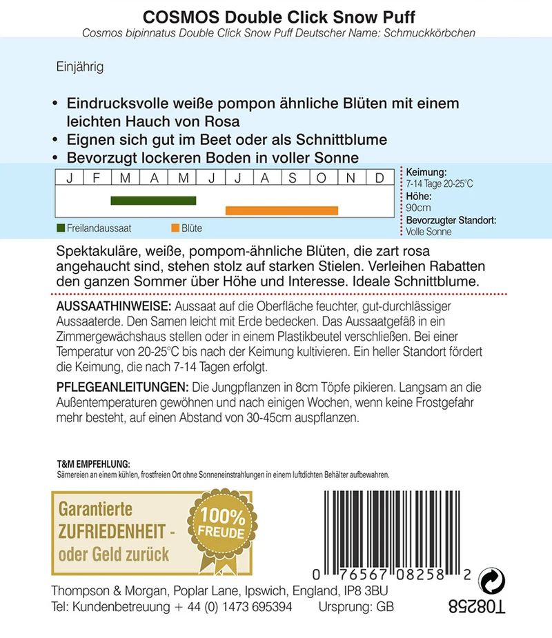 Thompson & Morgan | Cosmos (Schmuckkörbchen) Double Click Snow Puff