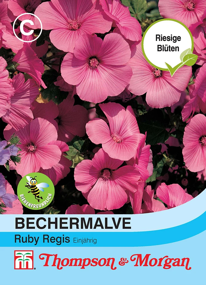 Thompson & Morgan | Bechermalve Ruby Regis