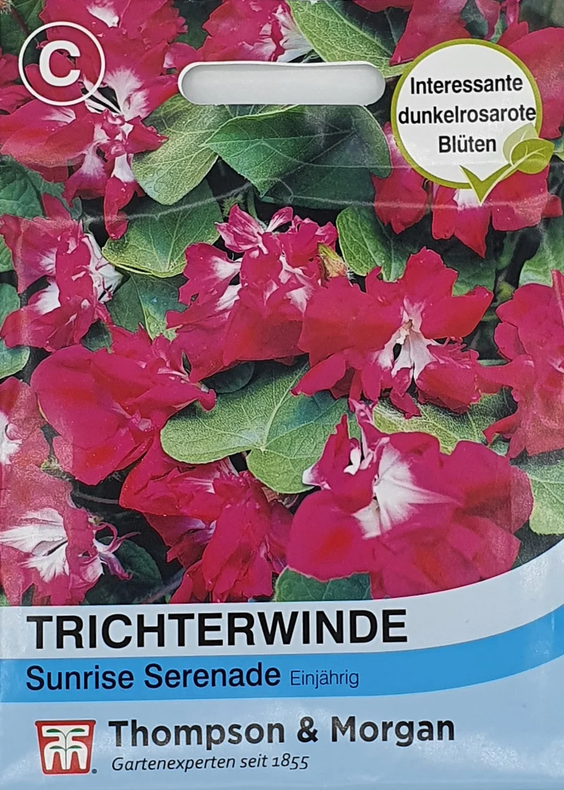 Trichterwinde Sunrise Serenade