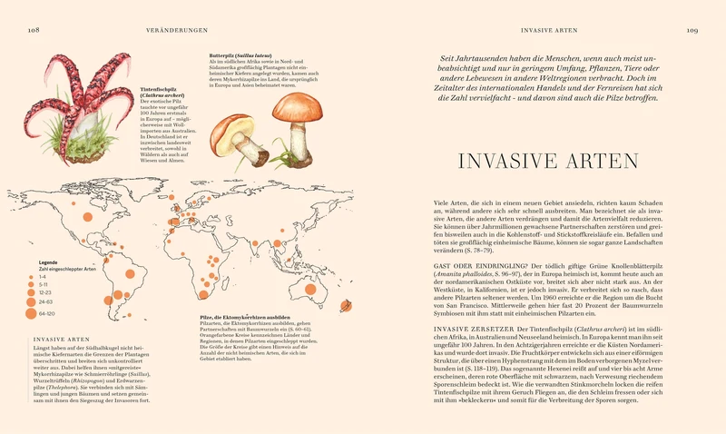 Pilze | Hochwertig illustriertes Sachbuch für Pilzliebhaber