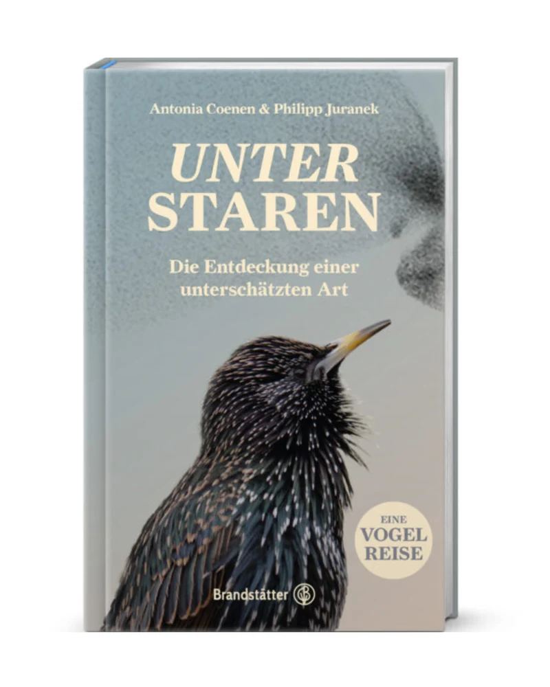 Unter Staren | Die Entdeckung einer unterschätzten Art, Eine Vogelreise