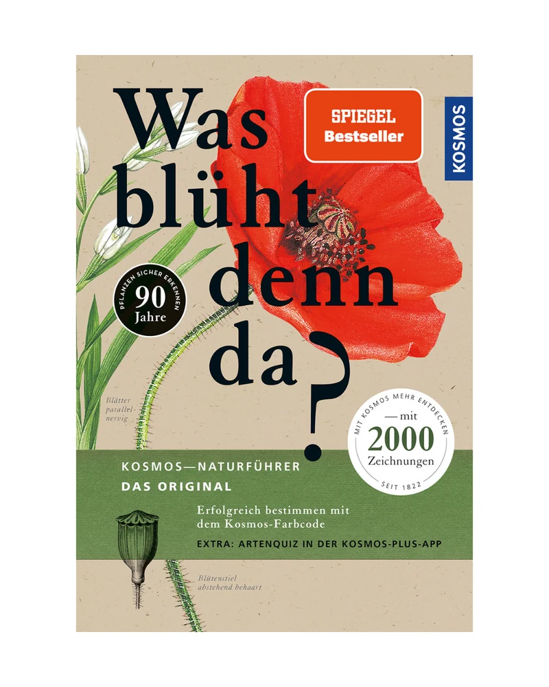 Was blüht denn da? | Schritt für Schritt durch die Welt der Blütenpflanzen