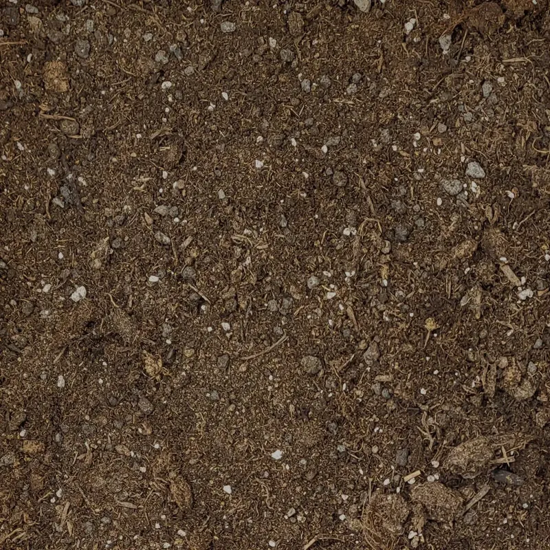 Zitruspflanzen-Erde