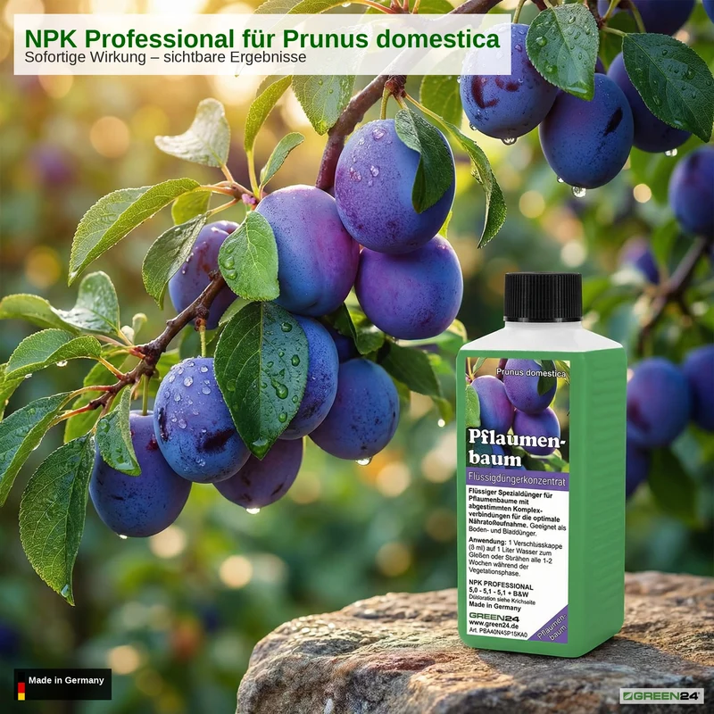 Pflaumenbaum-Dünger – Prunus domestica NPK Flüssigdünger 250ml für kräftige Blätter, Blüten und Früchte 250 ml