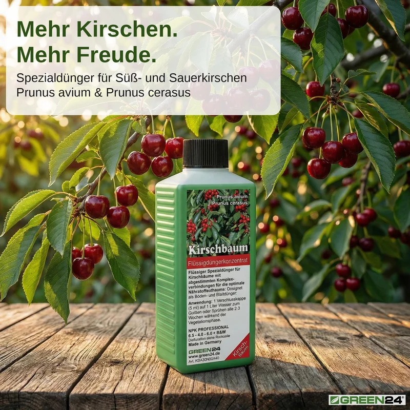 Kirschbaum-Dünger – Süß- und Sauerkirschen NPK Flüssigdünger Prunus avium und Prunus cerasus 250 ml