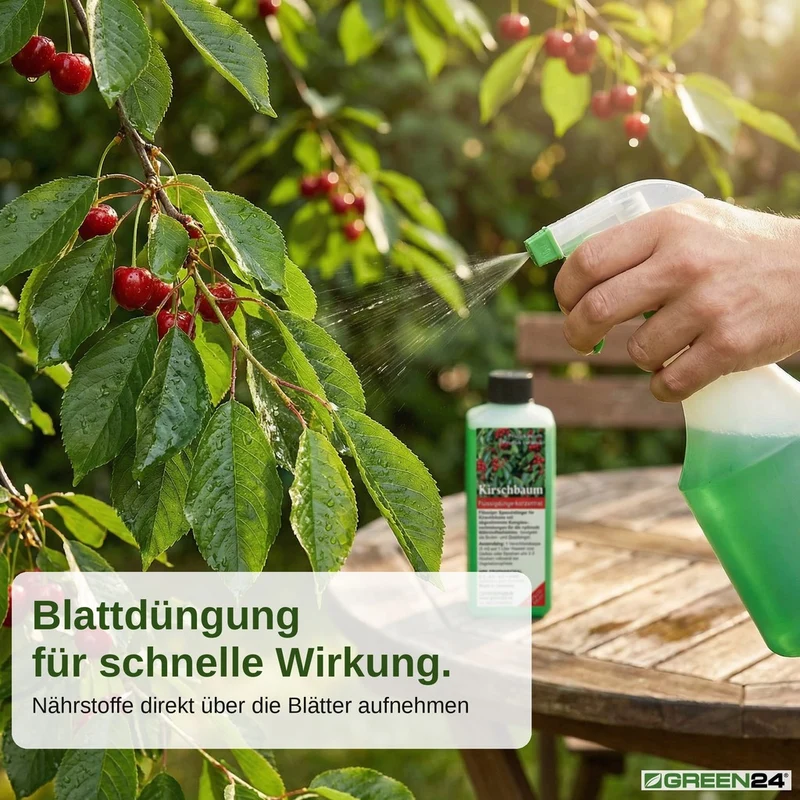 Kirschbaum-Dünger – Süß- und Sauerkirschen NPK Flüssigdünger Prunus avium und Prunus cerasus 250 ml