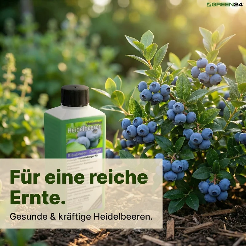 Heidelbeer-Dünger