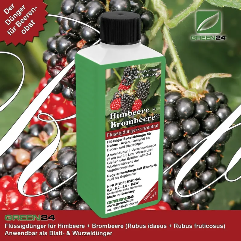 Himbeeren (Rubus idaeus) & Brombeeren (Rubus fruticosus) Dünger, PROFI LINIE – 250ml Spezial-Flüssigdünger für eine reiche Ernte