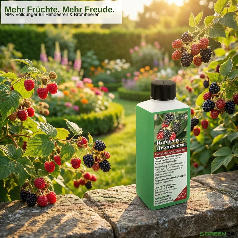 Himbeeren (Rubus idaeus) & Brombeeren (Rubus fruticosus) Dünger, PROFI LINIE – 250ml Spezial-Flüssigdünger für eine reiche Ernte