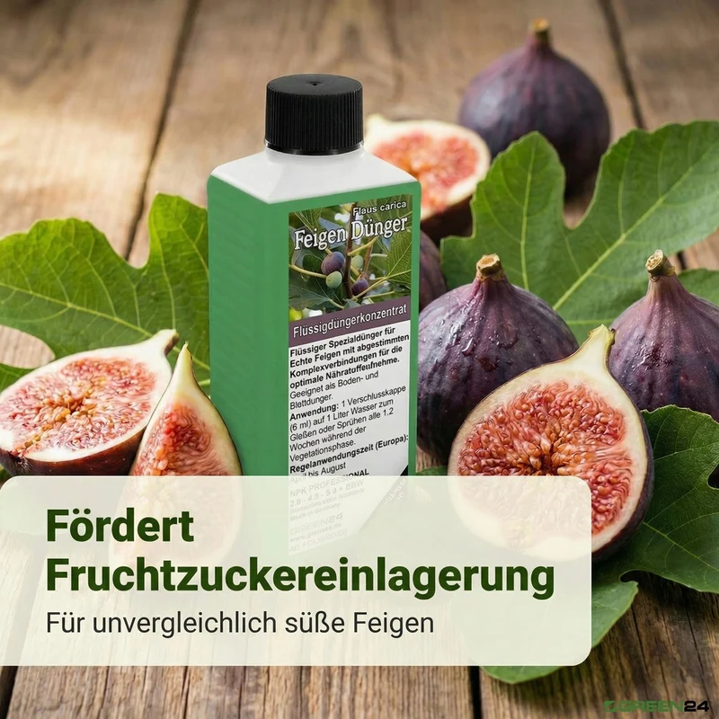 Feigen-Dünger