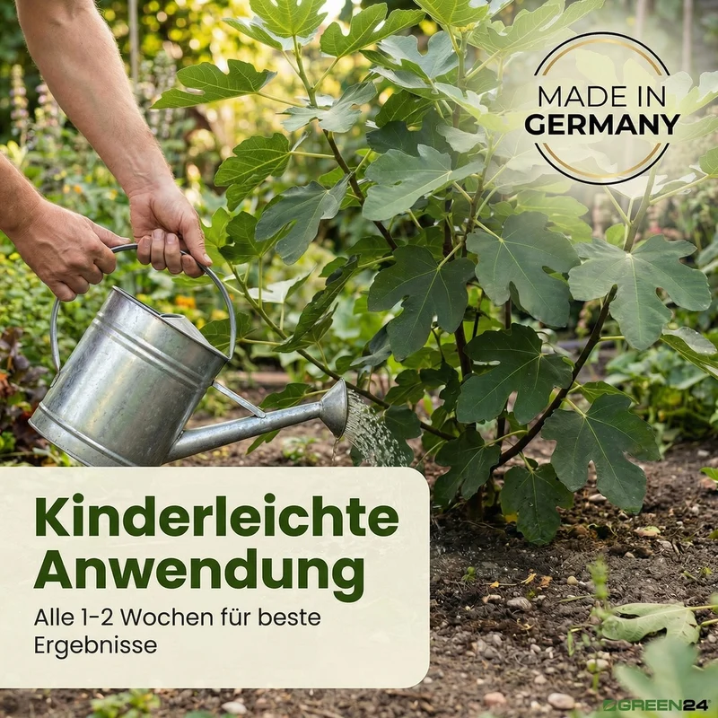 Feigen-Dünger