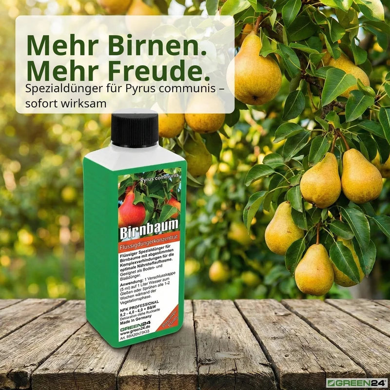 Birnbaum-Dünger, Pyrus communis NPK Flüssigdünger für robusten Wuchs und reichhaltige Ernte 250 ml