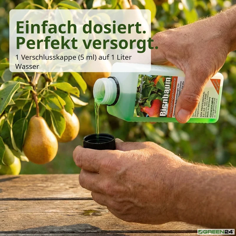 Birnbaum-Dünger, Pyrus communis NPK Flüssigdünger für robusten Wuchs und reichhaltige Ernte 250 ml