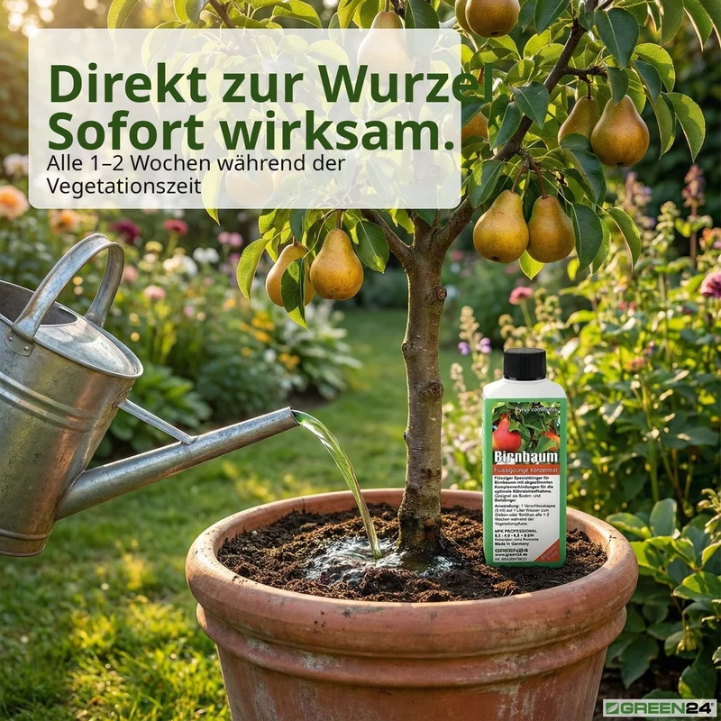 Birnbaum-Dünger, Pyrus communis NPK Flüssigdünger für robusten Wuchs und reichhaltige Ernte 250 ml