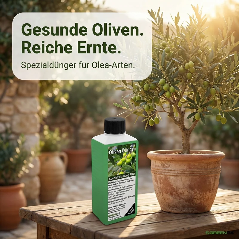 Oliven-Dünger – Spezialdünger für Olea europaea NPK | Für reiche Olivenernte & mediterrane Pracht | Ideal für Olivenbäume & Ölbäume