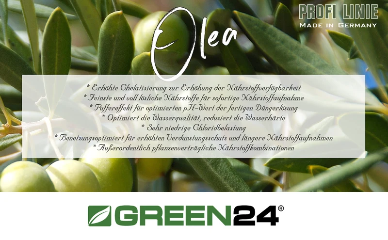 Oliven-Dünger – Spezialdünger für Olea europaea NPK | Für reiche Olivenernte & mediterrane Pracht | Ideal für Olivenbäume & Ölbäume