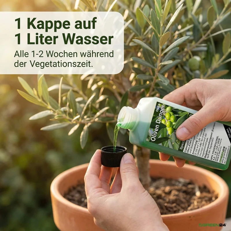 Oliven-Dünger – Spezialdünger für Olea europaea NPK | Für reiche Olivenernte & mediterrane Pracht | Ideal für Olivenbäume & Ölbäume