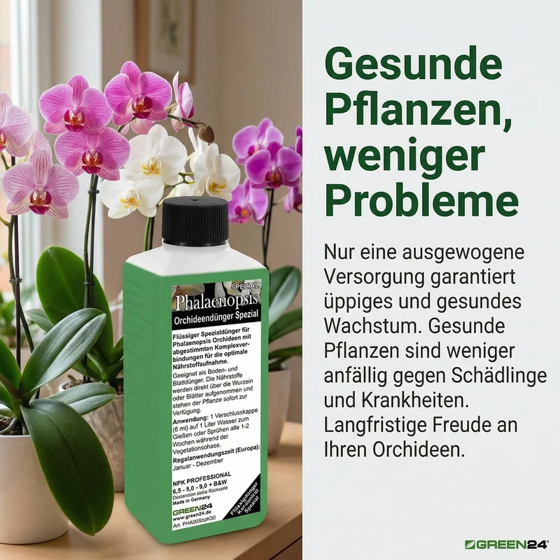 Phalaenopsis Dünger 250ml – Spezialdünger für Schmetterlingsorchideen | Maximiert Blütengröße & -Anzahl | Fördert neue Blütenrispen