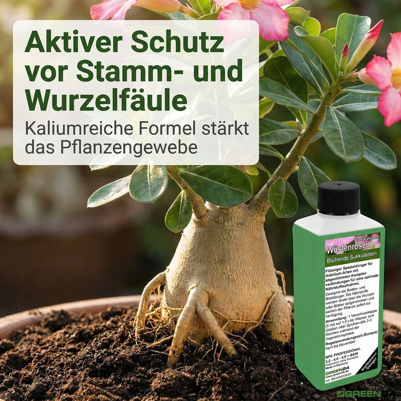 Wüstenrosen-Dünger