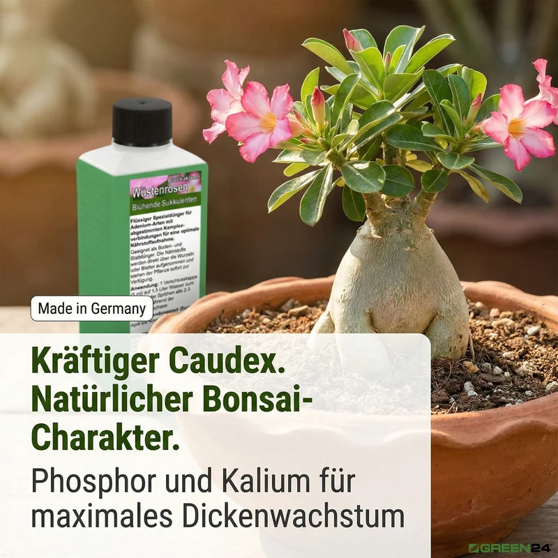 Wüstenrosen-Dünger