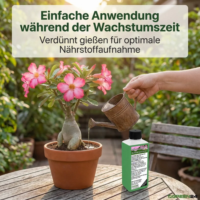 Wüstenrosen-Dünger