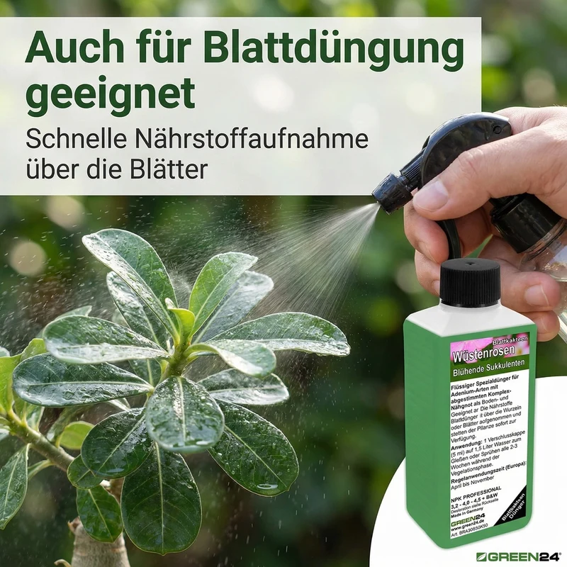 Wüstenrosen-Dünger