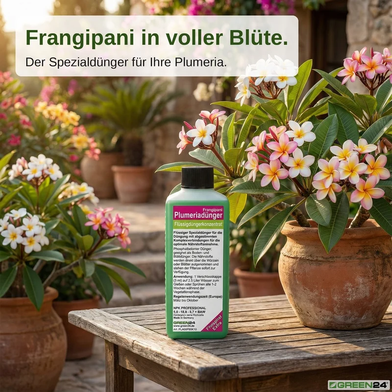 Frangipani-Dünger