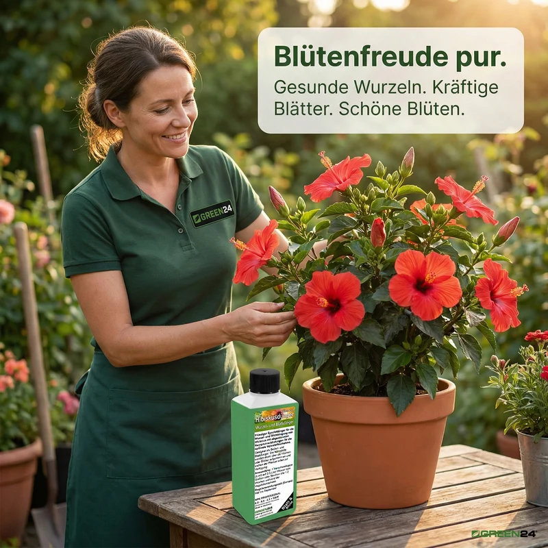 Hibiskus-Dünger