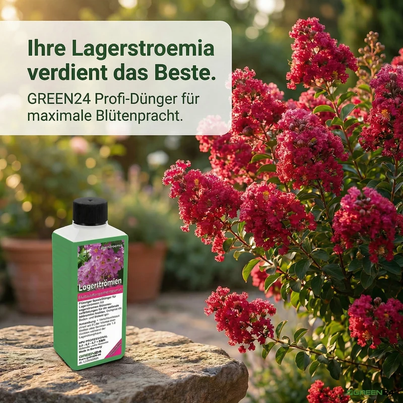 Lagerstroemia Dünger – 250ml Spezialdünger für Kräuselmyrte | Fördert üppige Blüten & kräftiges Wachstum | Ideal für alle Lagerstroemia-Sorten