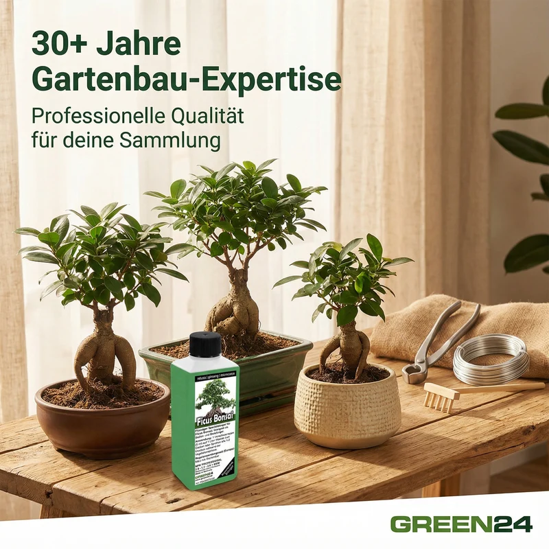 Ficus Ginseng Bonsai Dünger – 250ml Spezialdünger für tropische Zimmerbonsais | Fördert charakteristische Luftwurzeln & Stammverdickung | Optimal für Ficus microcarpa