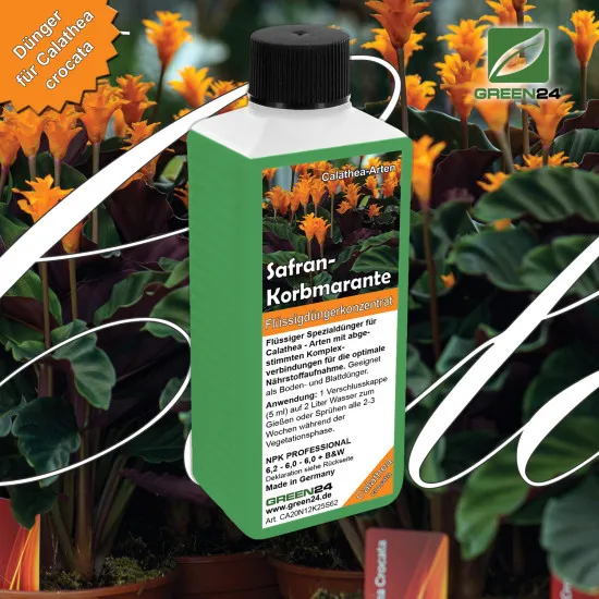Calathea Crocata - Dünger (Safran-Korbmarante) - Mineralischer NPK Flüssigdünger 250ml