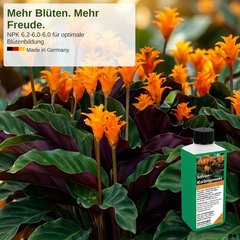 Calathea Crocata - Dünger (Safran-Korbmarante) - Mineralischer NPK Flüssigdünger 250ml