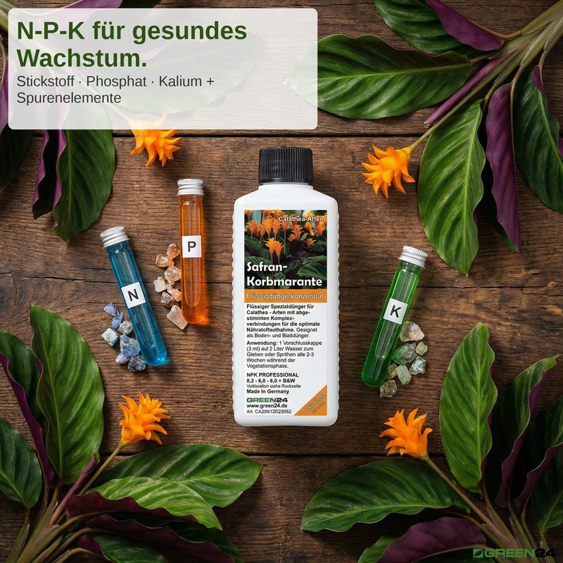 Calathea Crocata - Dünger (Safran-Korbmarante) - Mineralischer NPK Flüssigdünger 250ml