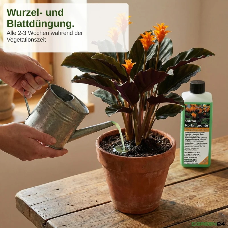 Calathea Crocata - Dünger (Safran-Korbmarante) - Mineralischer NPK Flüssigdünger 250ml