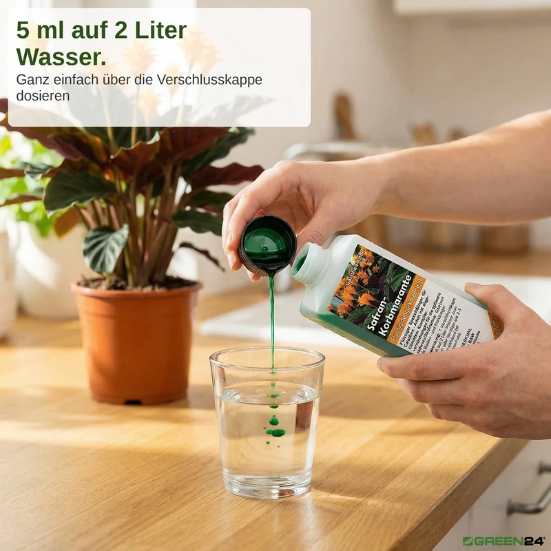 Calathea Crocata - Dünger (Safran-Korbmarante) - Mineralischer NPK Flüssigdünger 250ml