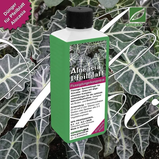 Alocasia Dünger 250 ml – Spezial-Flüssigdünger für Pfeilblatt & Elefantenohr
