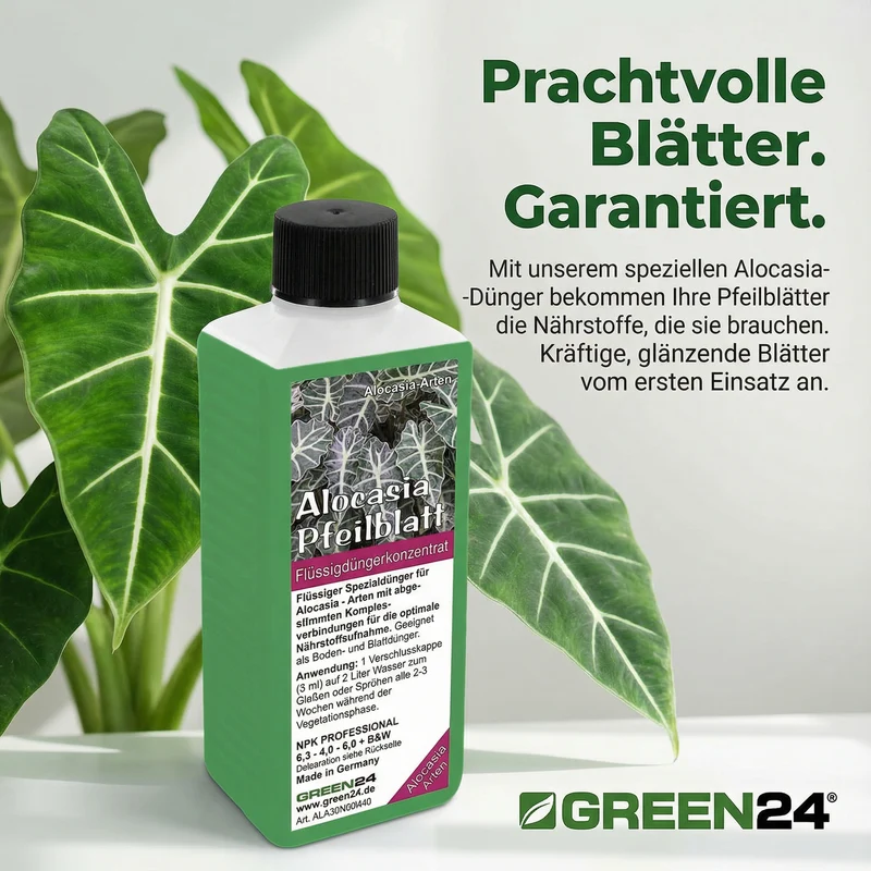 Alocasia Dünger 250 ml – Spezial-Flüssigdünger für Pfeilblatt & Elefantenohr