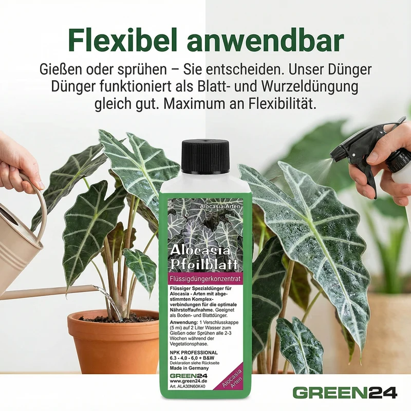Alocasia Dünger 250 ml – Spezial-Flüssigdünger für Pfeilblatt & Elefantenohr