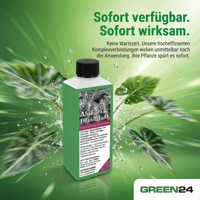 Alocasia Dünger 250 ml – Spezial-Flüssigdünger für Pfeilblatt & Elefantenohr