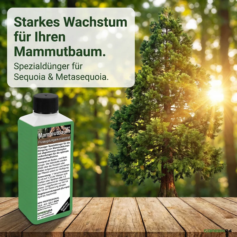 Mammutbaum-Dünger