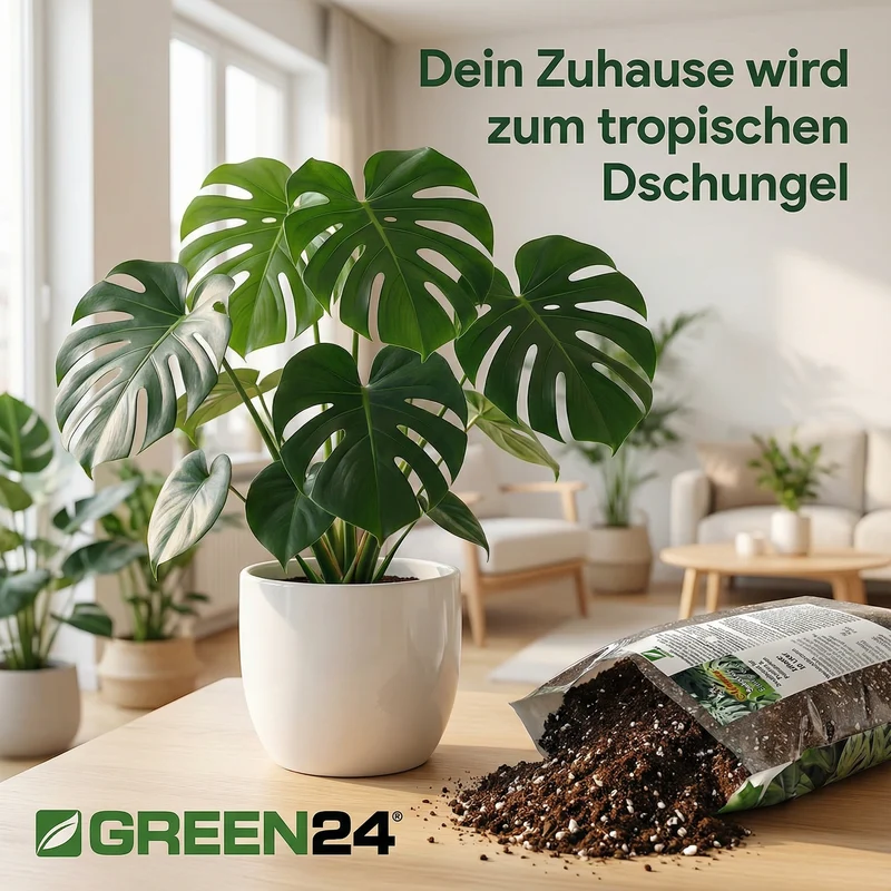Monstera & Philodendron Substrat PROFI LINIE – 10L Spezialerde für Fensterblatt und Baumfreund