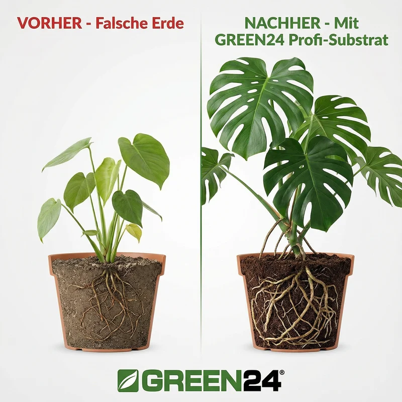 Monstera & Philodendron Substrat PROFI LINIE – 10L Spezialerde für Fensterblatt und Baumfreund