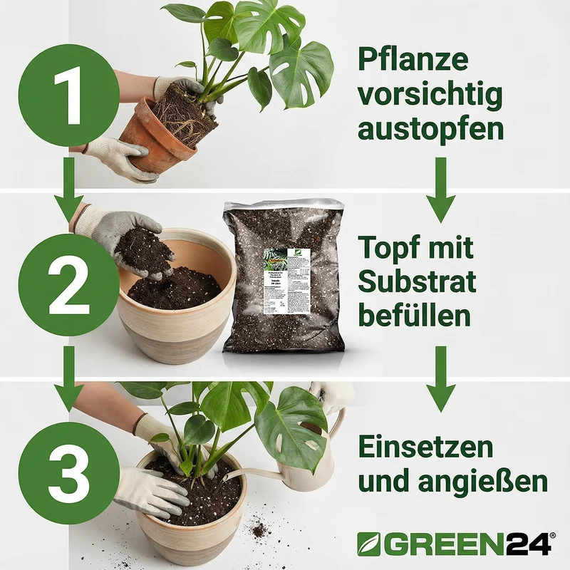 Monstera & Philodendron Substrat PROFI LINIE – 10L Spezialerde für Fensterblatt und Baumfreund