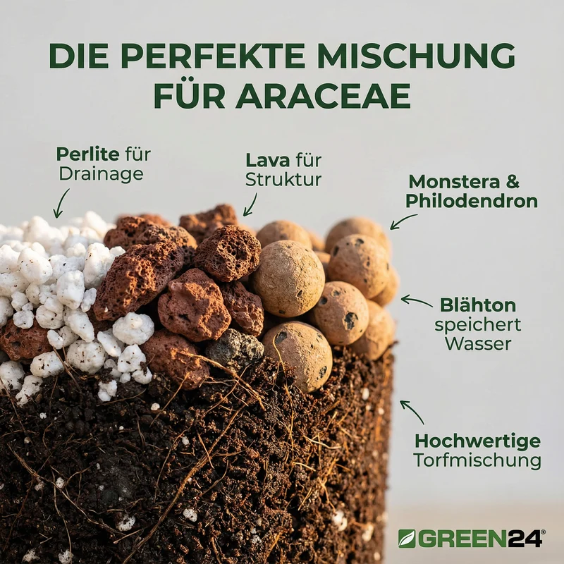 Monstera & Philodendron Substrat PROFI LINIE – 10L Spezialerde für Fensterblatt und Baumfreund