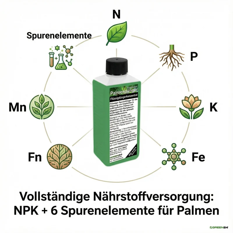 Palmen-Dünger