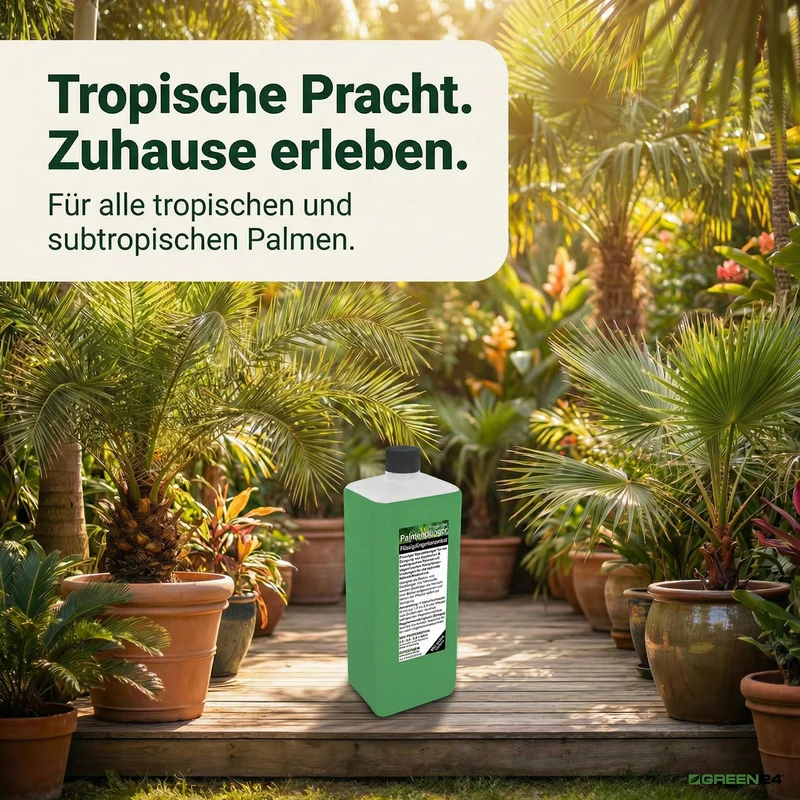 Palmen-Dünger