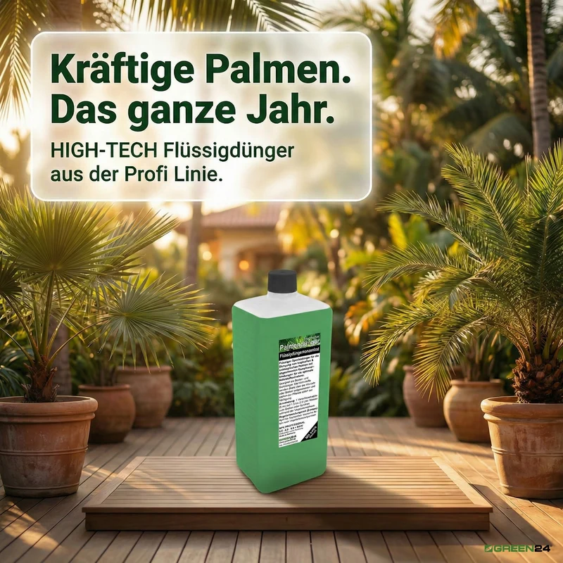 Palmen-Dünger