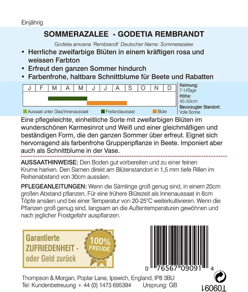 Thompson & Morgan | Sommerazalee Godetia 'Rembrandt'