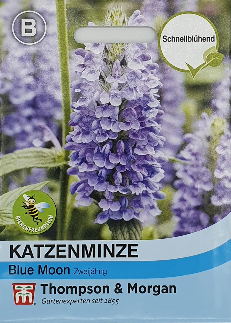Thompson & Morgan | Katzenminze Blue Moon