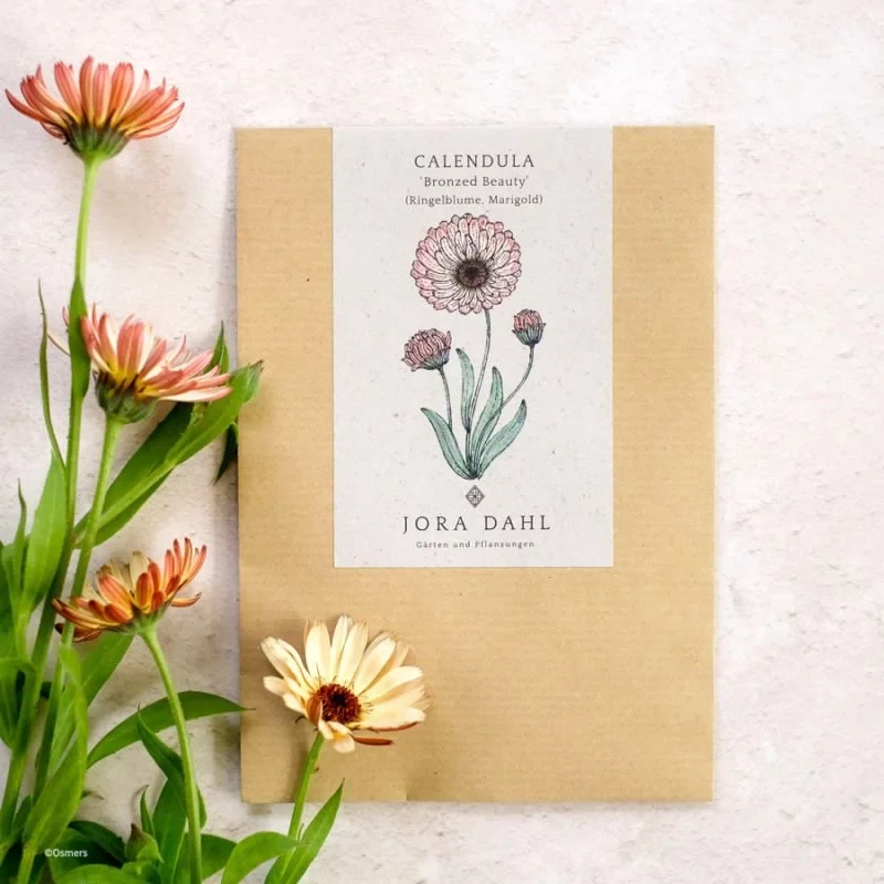 Jora Dahl | Calendula 'Bronze Beauty' (Ringelblume)
